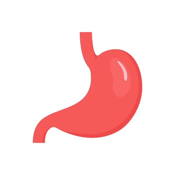 Icono Colorido Del Estómago Ilustración Anatomía Del Sistema Digestivo Vector — Archivo Imágenes Vectoriales
