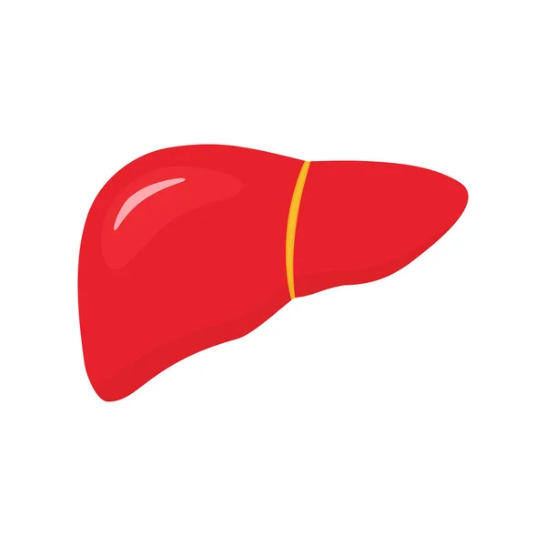 Karaciğer Simgesi Şeklinde Düz Bir Şekilde Insan Organ Anatomisi Sembolü — Stok Vektör
