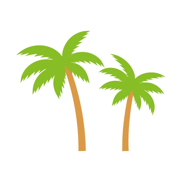 Palmbomen Icoon Palm Boom Zomer Vector Illustratie Geïsoleerd Wit — Stockvector