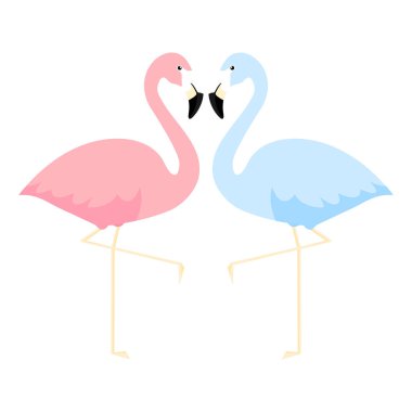 Pembe ve mavi flamingolar konsepte bayılır. Beyaz üzerine izole edilmiş iki sevimli flamingo vektör çizimi
