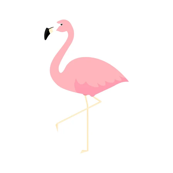 Růžový Pěkný Plameňák Flamingo Karikatura Vektorové Ilustrace Izolované Bílém Pozadí — Stockový vektor