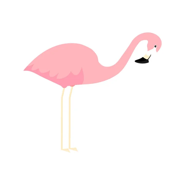 Lindo Flamenco Rosa Flamingo Ilustración Vectorial Dibujos Animados Aislado Sobre — Vector de stock