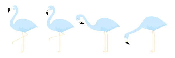Flamingo Modrá Různých Pózách Karikatura Set Vektorové Ilustrace Izolované Bílém — Stockový vektor