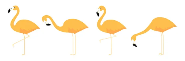 Skupina Roztomilé Oranžové Flamingo Různých Pózách Kreslené Vektorové Ilustrace Izolované — Stockový vektor