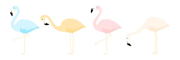 Skupina Barevných Flamingo Různých Pózách Kreslené Vektorové Ilustrace Izolované Bílém — Stockový vektor