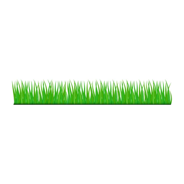 Grass Leaves Vector Illustration Isolated White Background Horizontal Seamless Grass — Stock Vector