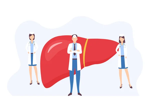 Karaciğer Simgesi Şeklinde Düz Bir Şekilde Insan Organ Anatomisi Sembolü — Stok Vektör