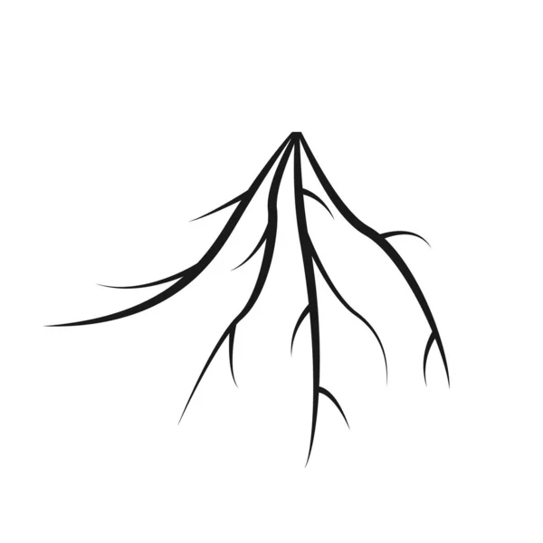 Czarna Ikona Ilustracja Wektora Korzeni Drzewa Odizolowane Biało — Wektor stockowy