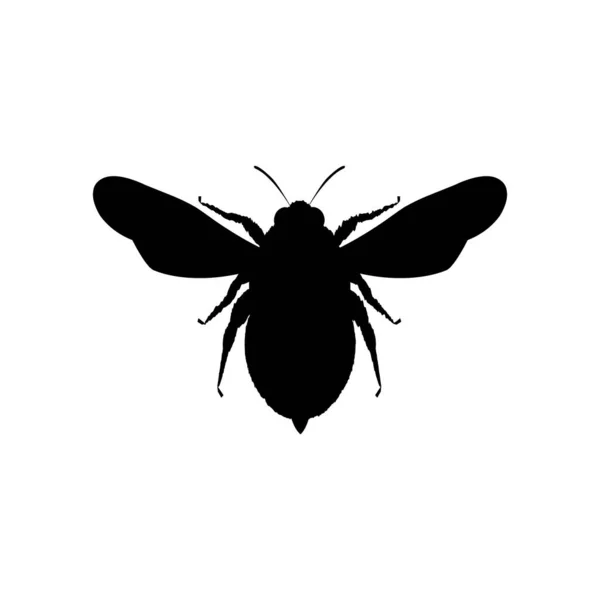 Honingbij Silhouet Icoon Zwarte Bijenschets Vectordier Symbool Geïsoleerd Wit — Stockvector