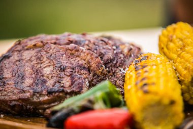 Gıda ızgarada pişirilir. Izgara ve barbekü kavramı. Kapat-u