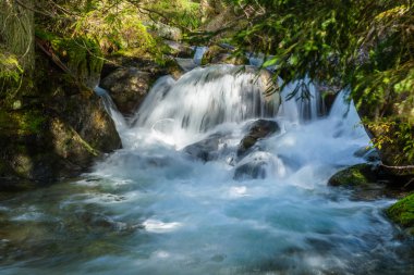 Yosunlu kayaların üzerinden akan orman deresi. Güzel manzara. Slovakya kırsalı.
