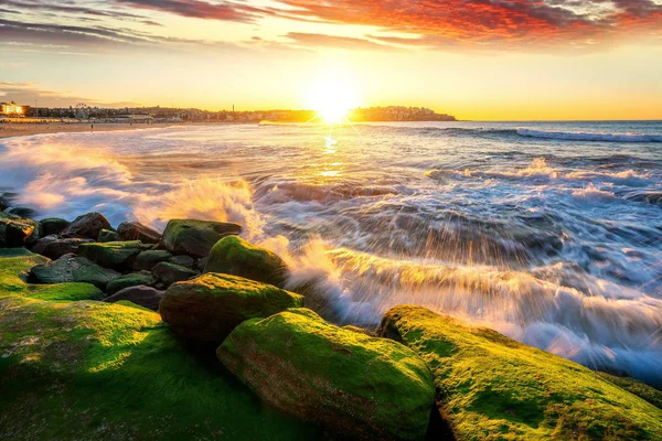 Vacker Morgon Solnedgång Och Mossy Stenar Port Botanik Sydney Nsw — Stockfoto