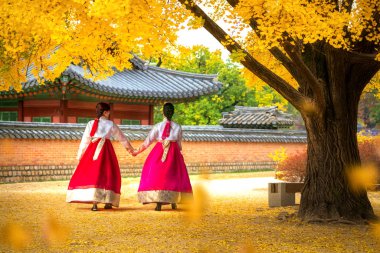 Hanbok elbiseli Bayan yürüyüş ginkgo sonbahar Bahçe, Seoul City, Güney Kore Seul sarayında