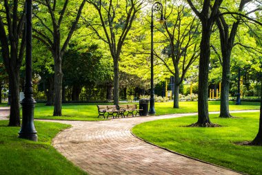 Park boston, ABD, sahne Amerika Birleşik