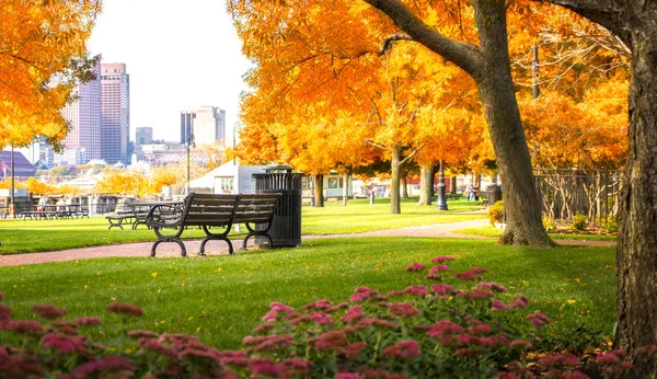 Herbstpark Boston Usa Vereinigte Bühne Von Amerika — Stockfoto