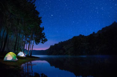 Mae hong son, Tayland, Asya yıldız Pang ung çam ormanlar orman ve doğa, kamp gece manzara