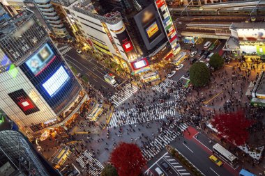 Yol, bina ve Shibuya geçmesini alacakaranlıkta üstten görünüm Shibuya City, Tokyo, Japonya