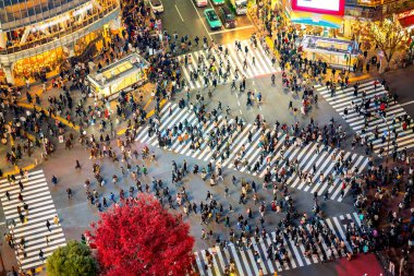 Yol, bina ve Shibuya geçmesini alacakaranlıkta üstten görünüm Shibuya City, Tokyo, Japonya