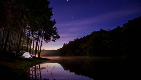 Landscape of Night camping with stars in Pang ung pine woods forest and nature, mae hong son, Thailand, Asia