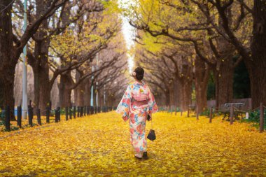 Japon Bayan yürüyüş yollow GINKO avenue Kimono elbiseli, Tokyo city, Japonya içinde. Bu IMMAGE seyahat için kullanabilirsiniz sonbahar, Japonya ve Tokyo kavramı