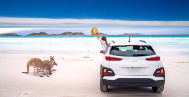 Lucky Bay'de Kanguru ailesi