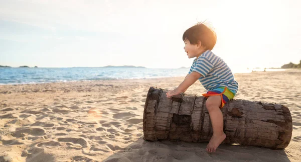 Asian boy play with coconut tree — Stock Photo, Image