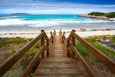 Somon plajında ağaçlı bir adım.