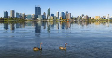 Arka planda nehir ve Perth şehir Kuğu
