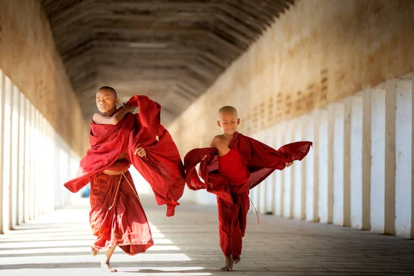 Les novices bouddhistes marchent avec umberella dans le temple — Photo