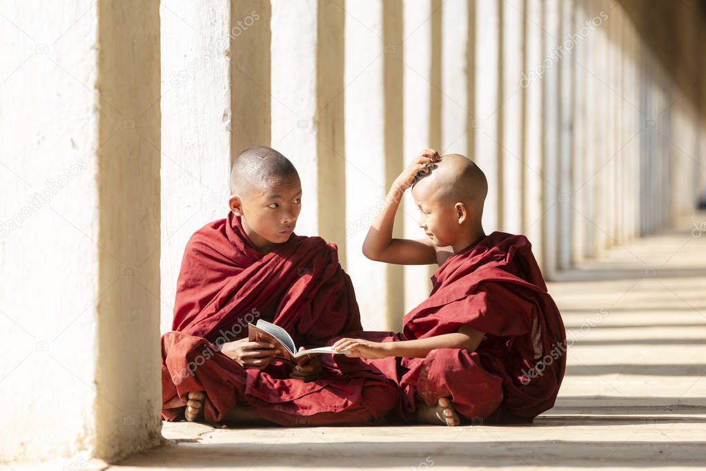 Buddhism novices are reading and study