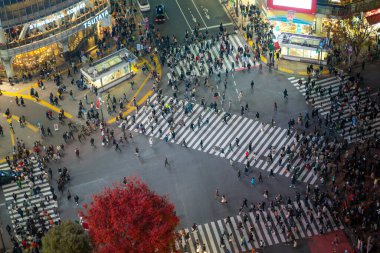 Shibuya, Tokyo, Japan - December 9, 2018: Top view of crowd people pedestrians walking cross zebra crosswalk in Shibuya district at night in Tokyo, Japan. Lights from commercial billboards.