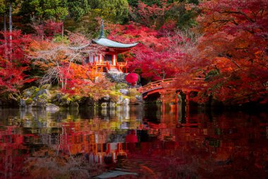 Japonya 'nın Kyoto kentinde sonbahar mevsiminde Digoji Tapınağı' nda kırmızı pagoda ve kırmızı akçaağaç yaprağıyla dikilen geleneksel kimino elbiseli genç Japon kız gezgin. Japon turizmi, doğa hayatı