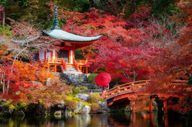 Japonya 'nın Kyoto kentinde sonbahar mevsiminde Digoji Tapınağı' nda kırmızı pagoda ve kırmızı akçaağaç yaprağıyla dikilen geleneksel kimino elbiseli genç Japon kız gezgin. Japon turizmi, doğa hayatı