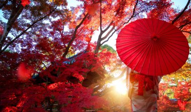 Geleneksel Kimono elbiseli Japon kız Kyoto şehrindeki kırmızı sonbahar parkında seyahat ediyor.
