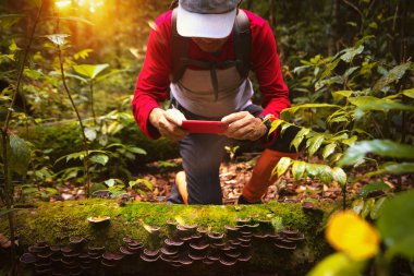 Asian backpacker hiking and travel in deep forest in North of Thailand, this image can use for smartphone, photographer, outdoor and travel concept clipart