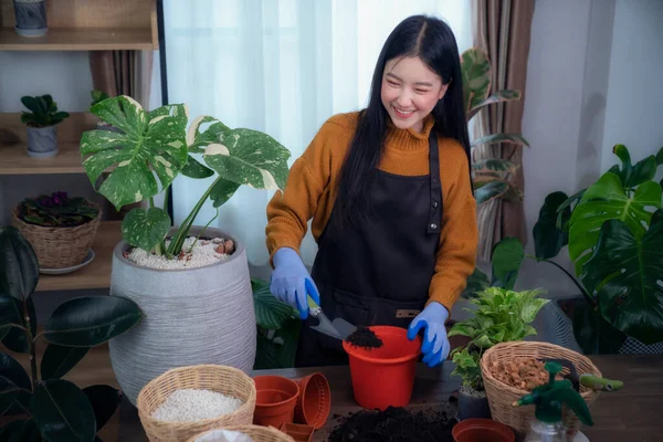 Asyalı Bir Kadın Apartmanındaki Odasına Ağaç Diker Resim Hobi Yaşam — Stok fotoğraf