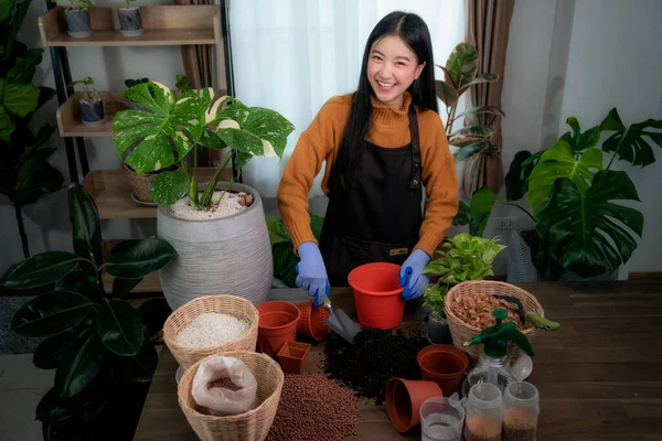 Mulher Asiática Planta Uma Árvore Seu Quarto Seu Condomínio Esta — Fotografia de Stock