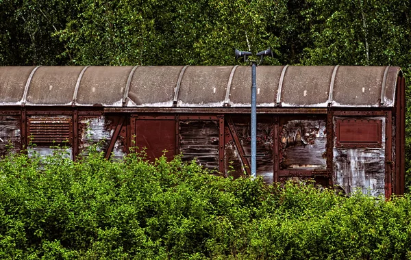 The old,rusty waggon of a train between green bushes and trees
