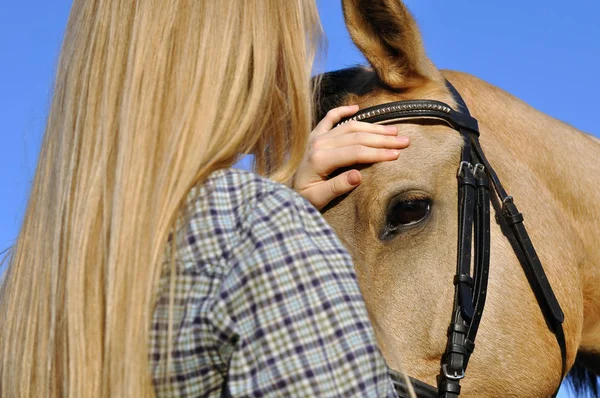 代の少女の肖像画 動物の頭部に馬 選択的な焦点 — ストック写真