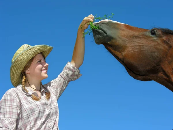 Młodych Cowgirl Karmienie Konia Gospodarstwie Tle Błękitnego Nieba Niski Kąt — Zdjęcie stockowe