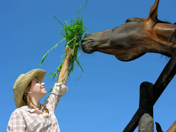 Młodych Cowgirl Karmienie Konia Gospodarstwie Tle Błękitnego Nieba Niski Kąt — Zdjęcie stockowe