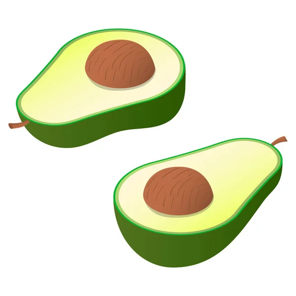 Aguacate isométrico. Hermosa fruta jugosa natural del color verde para recibir las vitaminas por el organismo. — Vector de stock