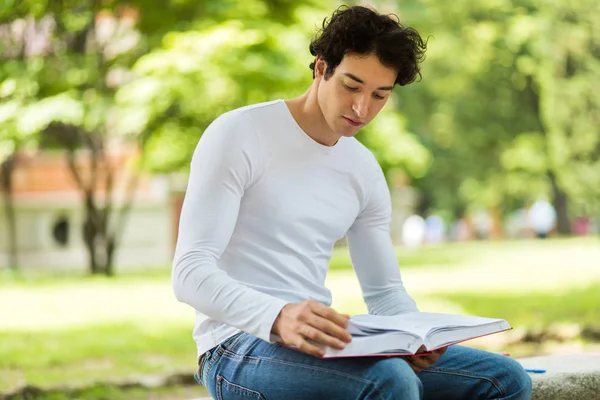 Schöner Junger Mann Liest Buch Auf Bank Park — Stockfoto