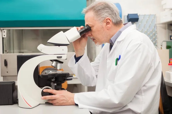 Cientista Sênior Usando Microscópio Seu Laboratório — Fotografia de Stock