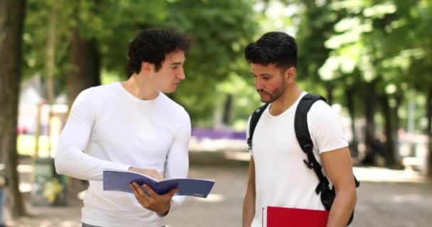 Dos Estudiantes Estudiando Juntos Parque — Vídeos de Stock