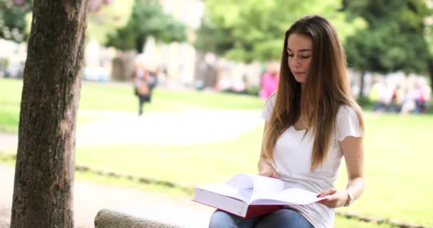 Estudante Sexo Feminino Estudando Parque — Vídeo de Stock