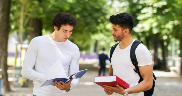 Two Students Discussing College Courtyard — Stock Photo, Image