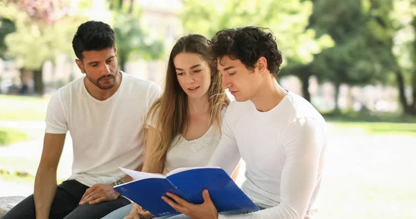 Três Estudantes Estudando Juntos Sentados Banco Livre — Fotografia de Stock