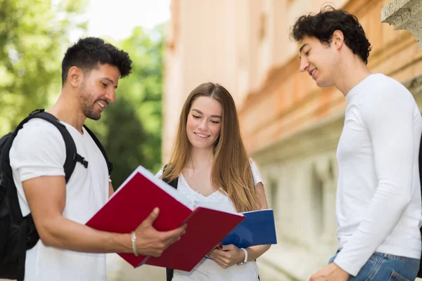 Drie Studenten Praten Met Elkaar Buiten Een College Binnenplaats — Stockfoto