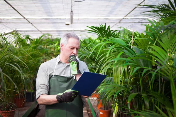 Man Reading Document Greenhouse — Stock Photo, Image